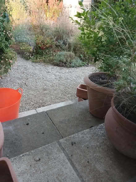 Photo of free Largish Italian Terracotta Pot (Kirtlington OX5) #1
