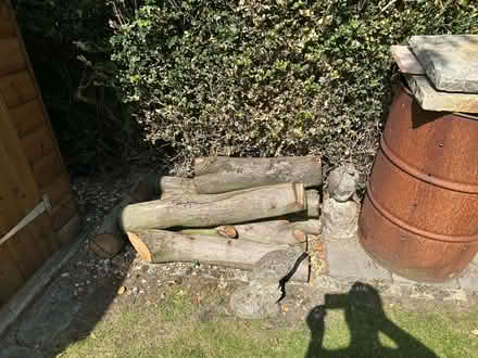 Photo of free Job lot of wood (Lostock Hall PR5) #1