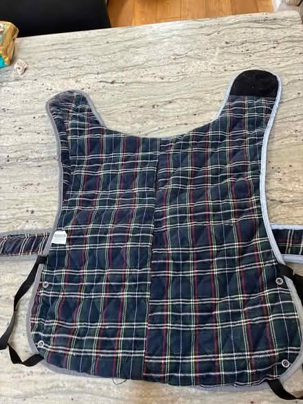 Photo of free Dog Coat Large (Near Forest School RH13) #2