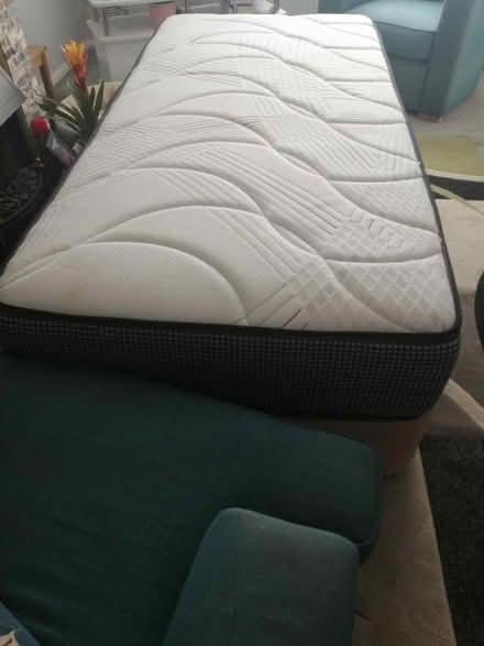 Photo of free Single Divan bed (Denmead PO76) #2