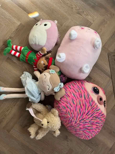 Photo of free Cuddly toys (Nursery Hollow, Ilkeston) #1