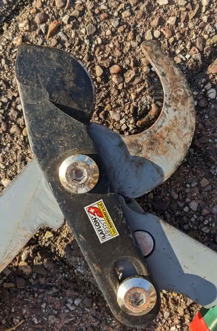 Photo of free Bypass Loppers & Shears (Lipson PL4) #3