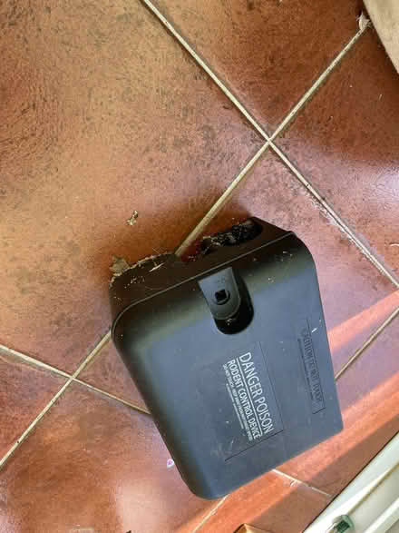 Photo of free Bait boxes (Stone Cross BN23) #1