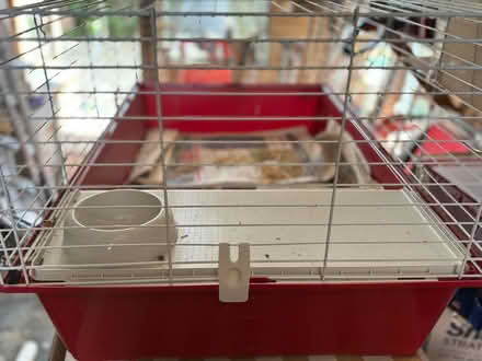 Photo of free Indoor guinea pig cage (Kinnerton LD8) #2