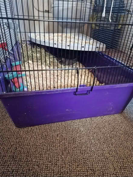Photo of free Hamster cage (Codnor DE5) #1