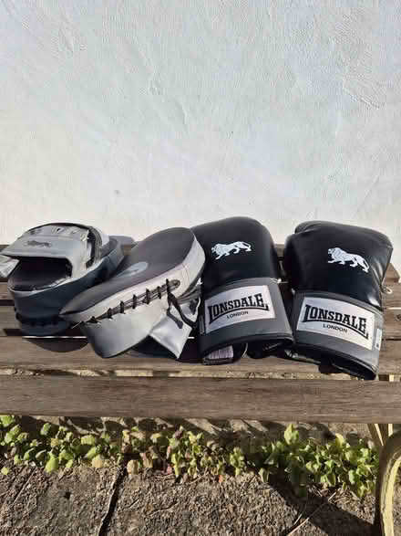 Photo of free Boxing gloves & pads (Charlton SE18) #1