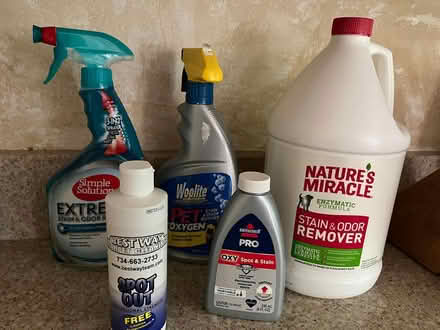 Photo of free carpet cleaning products for pets (northeast ann arbor) #1