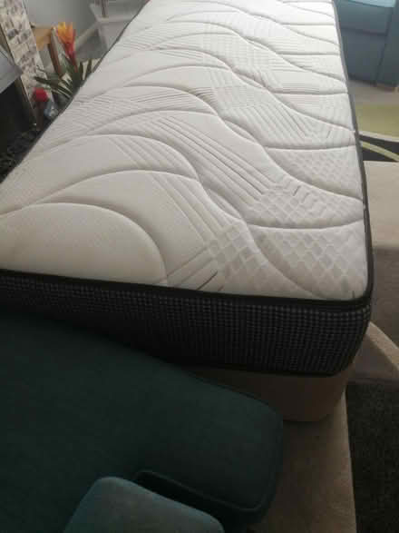 Photo of free Single Divan bed (Denmead PO76) #1