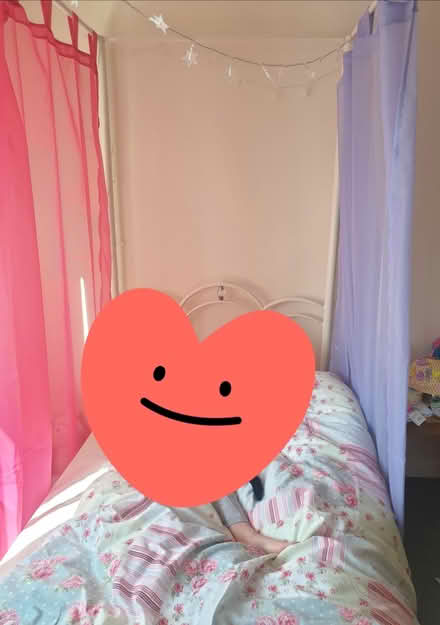 Photo of free 4 poster metal single bed (Codnor DE5) #3