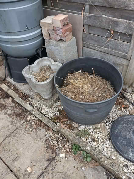 Photo of free 2 Planters/Pots (North Bersted PO22) #1