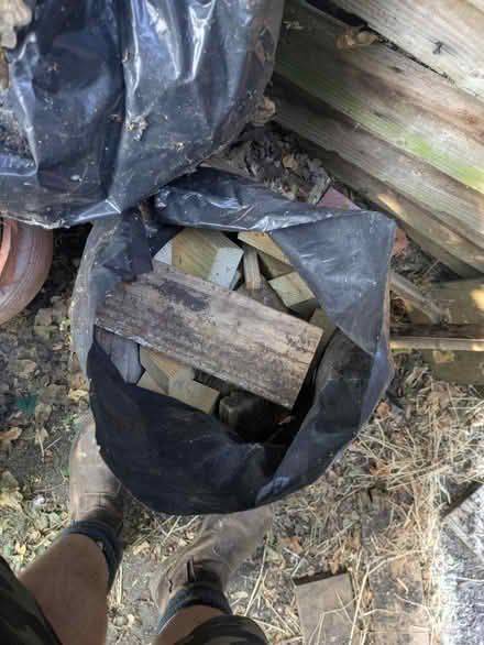 Photo of free Firewood (Sunbury on Thames TW16) #2