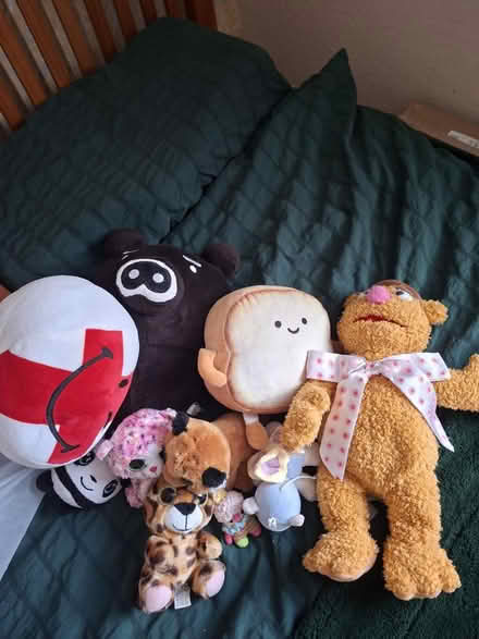 Photo of free Soft toys 2 (Southwark SE1) #1