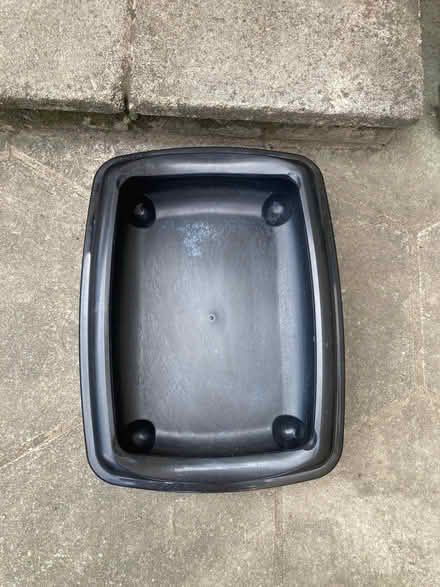 Photo of free Cat Litter Tray (Stanford-Le-Hope SS17) #1
