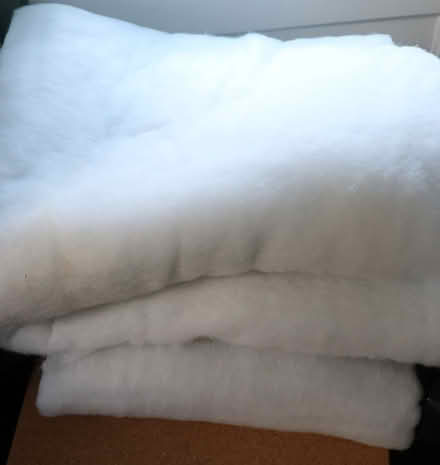 Photo of free Polyester Wadding (Penzance TR18) #1