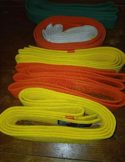Photo of free Martial arts fabric belts (ME16 8BT) #1