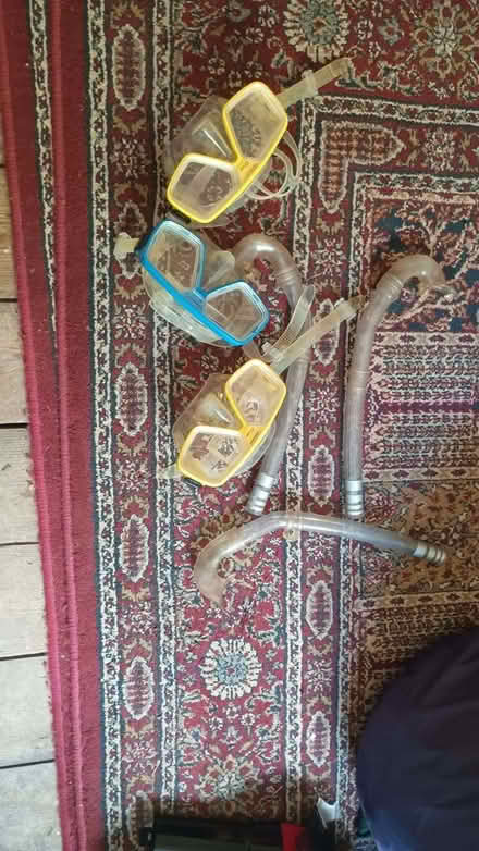 Photo of free Snorkelling masks and snorkels (The Nurserylands TW12) #1