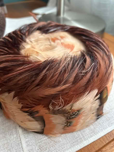 Photo of free Vintage hats (Wedgwood) #3