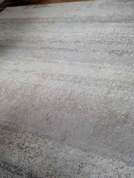 Photo of free Grey and beige rug (Near Harbor) #2