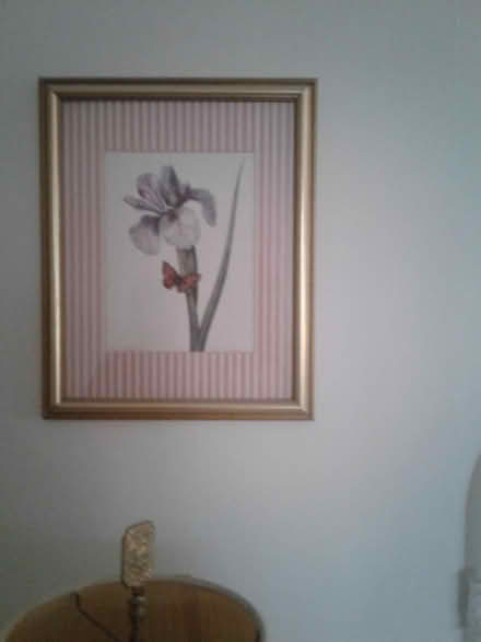 Photo of free 8x10 flower floral drawing (Deerfield Beach) #1