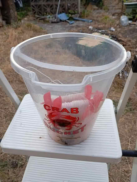 Photo of free Crab Bucket (Parkstone BH14) #2