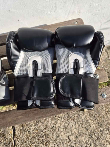 Photo of free Boxing gloves & pads (Charlton SE18) #4