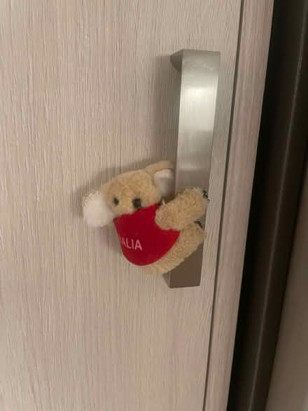 Photo of free Mini koala plush clip (Bayview/highway 7) #1