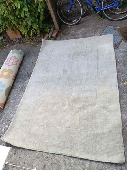 Photo of free Big wool rug (Easton BS5) #2