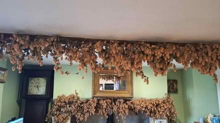 Photo of free Hop Garlands x 2 (Cheltenham/Northleach) #1
