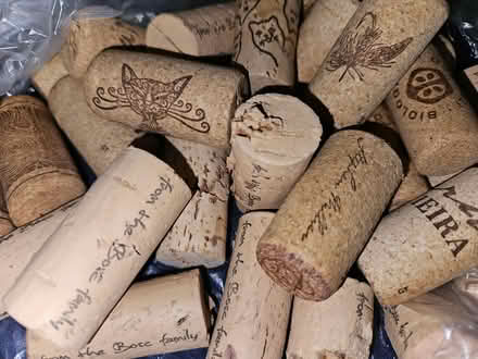 Photo of free 30 wine corks (Near the experimental farm) #1