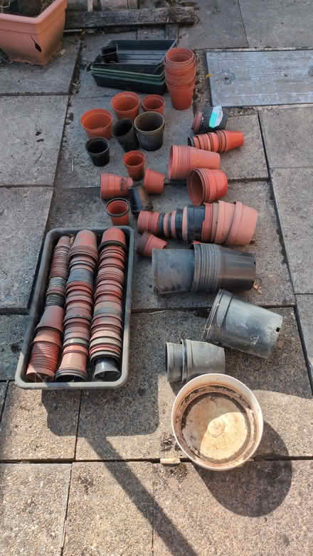 Photo of free Plastic plant pots (Wollaton NG8) #1