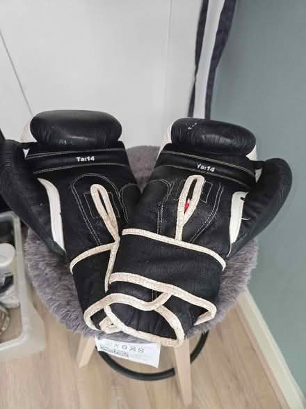 Photo of free Boxing Gloves (Greenwich Peninsula SE10) #2