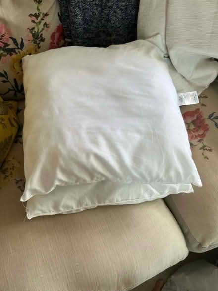 Photo of free 42 x 42 cm microfibre cushion fillers (Lewisham SE13) #1