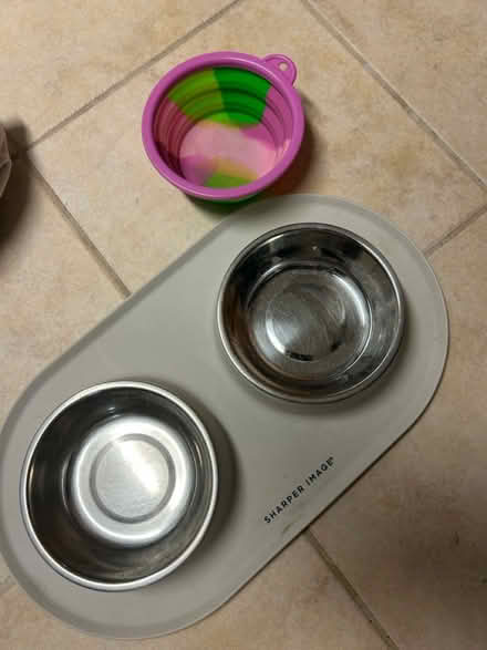 Photo of free Supplies for Small Dogs (Greenwich CT) #1