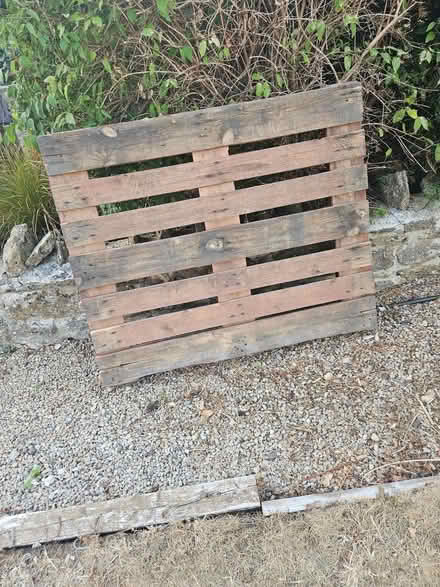 Photo of free Pallet (Pipehouse BA2) #1