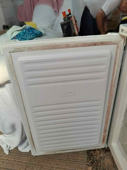 Photo of free Indesit freezer (Kenilworth CV8) #3