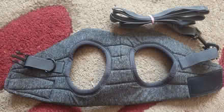 Photo of free Grey Harness (Upper Luton ME5) #1