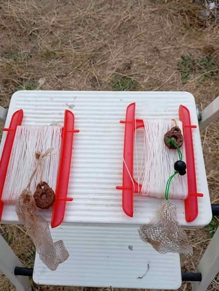 Photo of free Crab Bucket (Parkstone BH14) #3