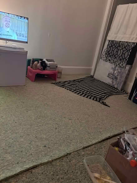 Photo of 12x12 FLOORING ETC… (Saint Petersburg near DTSP) #1