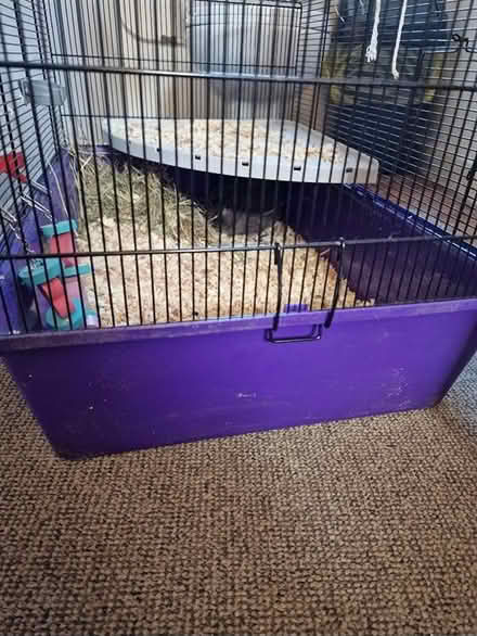 Photo of free Hamster cage (Codnor DE5) #2