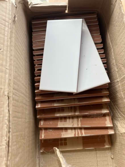 Photo of free Wall tiles (Winterbourne BS36) #1