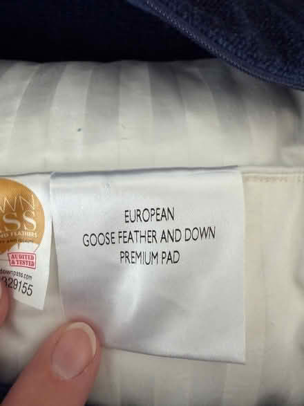 Photo of free Three John Lewis navy blue chenille cushions - feather pads (Arborfield Garrison RG2) #3