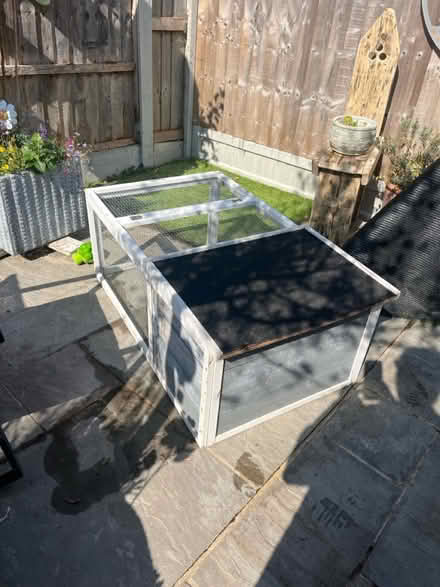 Photo of free Rabbit, Tortoise run (Cm120tb) #2