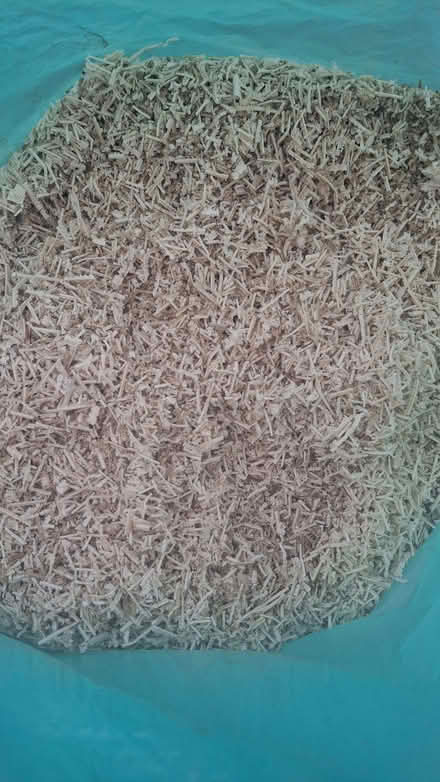 Photo of free 4 dustbin bags of fine wood shavings . (Newport TF10) #1