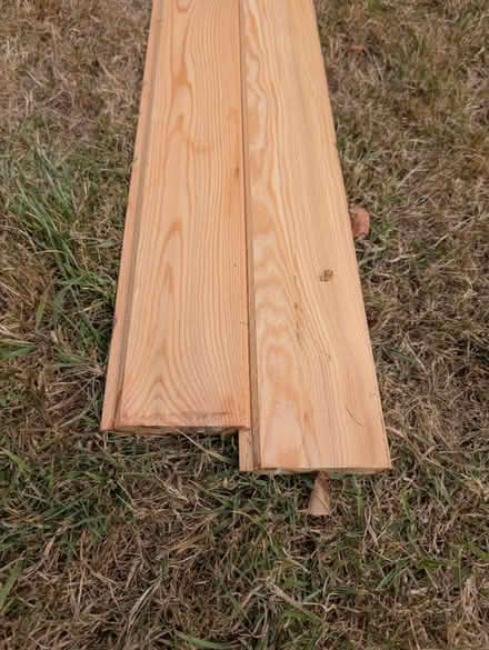 Photo of free Larch cladding tongue & groove (Grove park SE9) #1