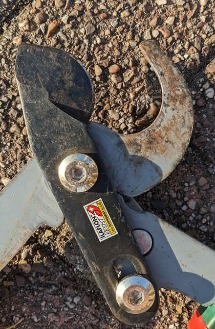 Photo of free Bypass Loppers & Shears (PL4 Greenbank.) #3