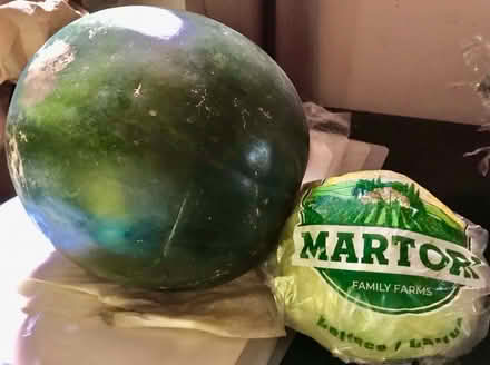 Photo of free Pantry Food (Bronx, Ny) #4