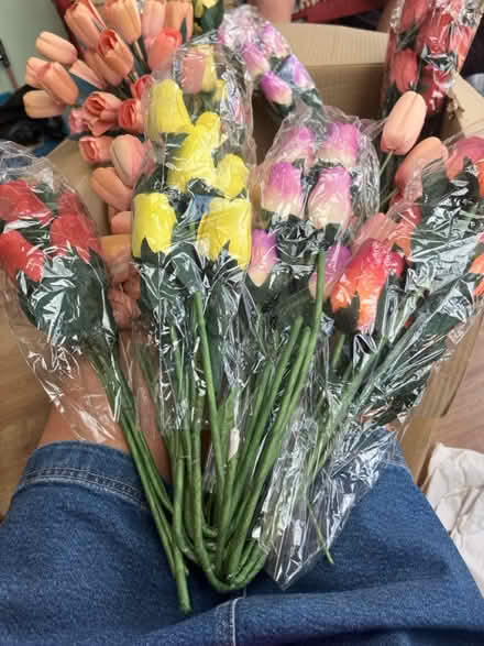 Photo of free Pretty wood flowers (Winterbourne BS36) #1
