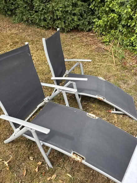 Photo of free 2 Sun loungers (Killiney) #1
