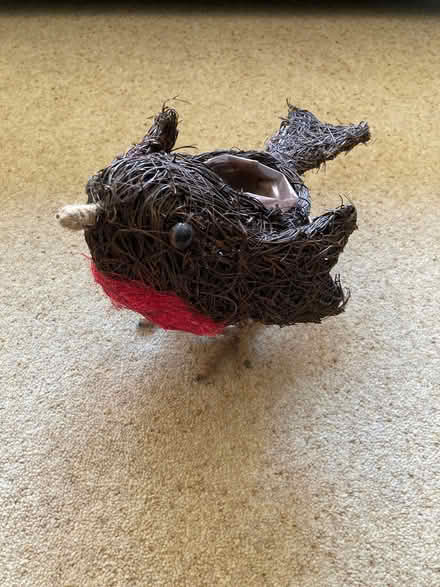 Photo of free Robin planter (Yarnton OX5) #1