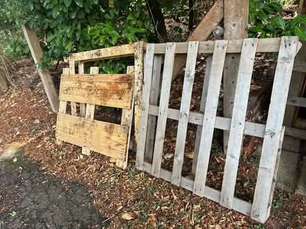 Photo of free 2 pallets. Good condition (Costessey NR8) #1